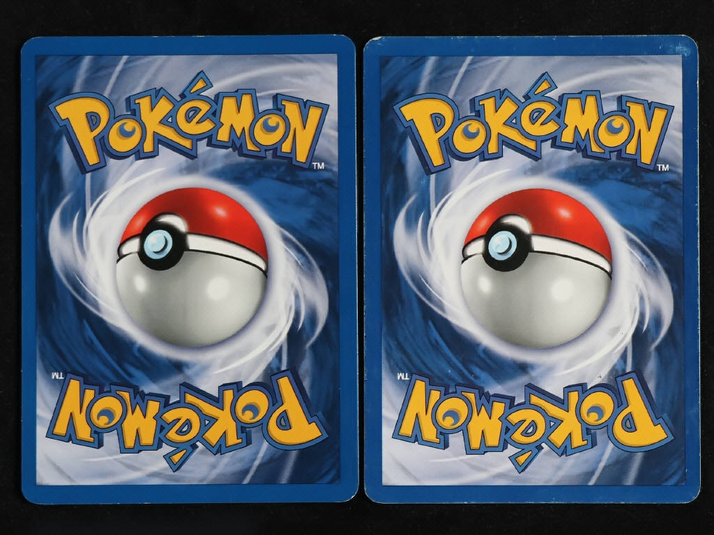 Lot 92 - POKEMON COMPANY (FRANCE) (2)