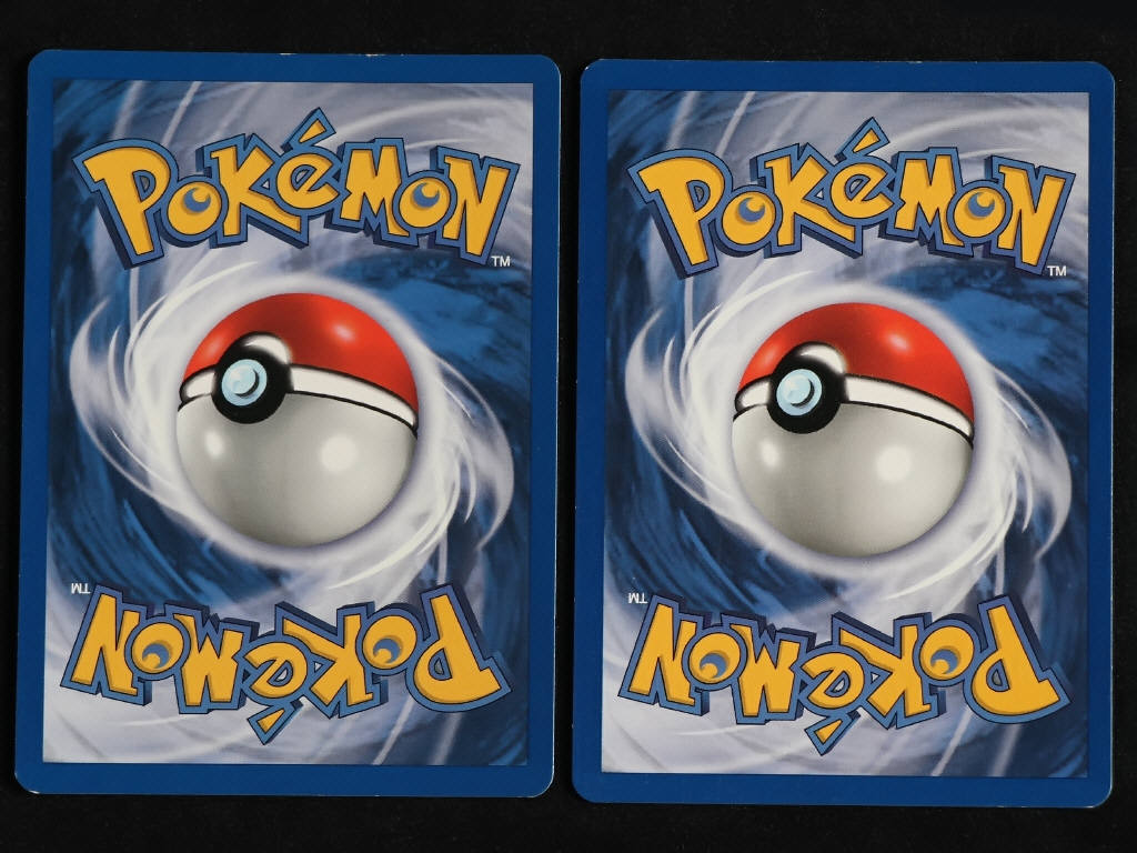 Lot 94 - POKEMON COMPANY (FRANCE) (2)
