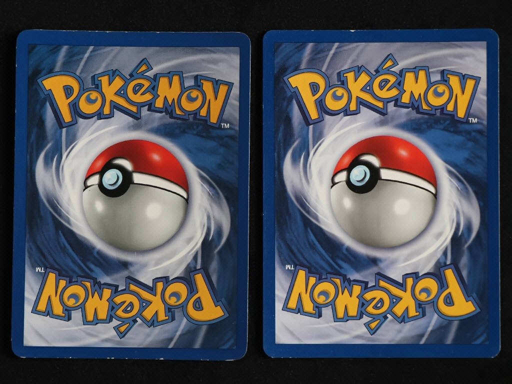 Lot 95 - POKEMON COMPANY (FRANCE) (2)