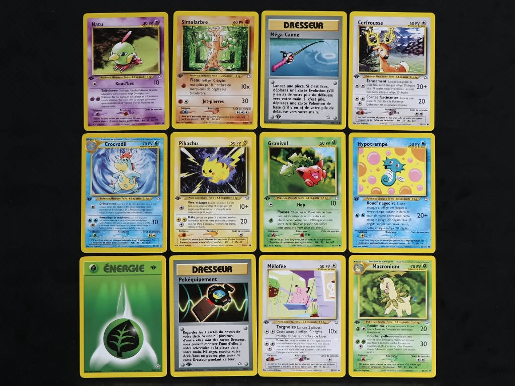 Lot 102 - POKEMON COMPANY (FRANCE) (12)