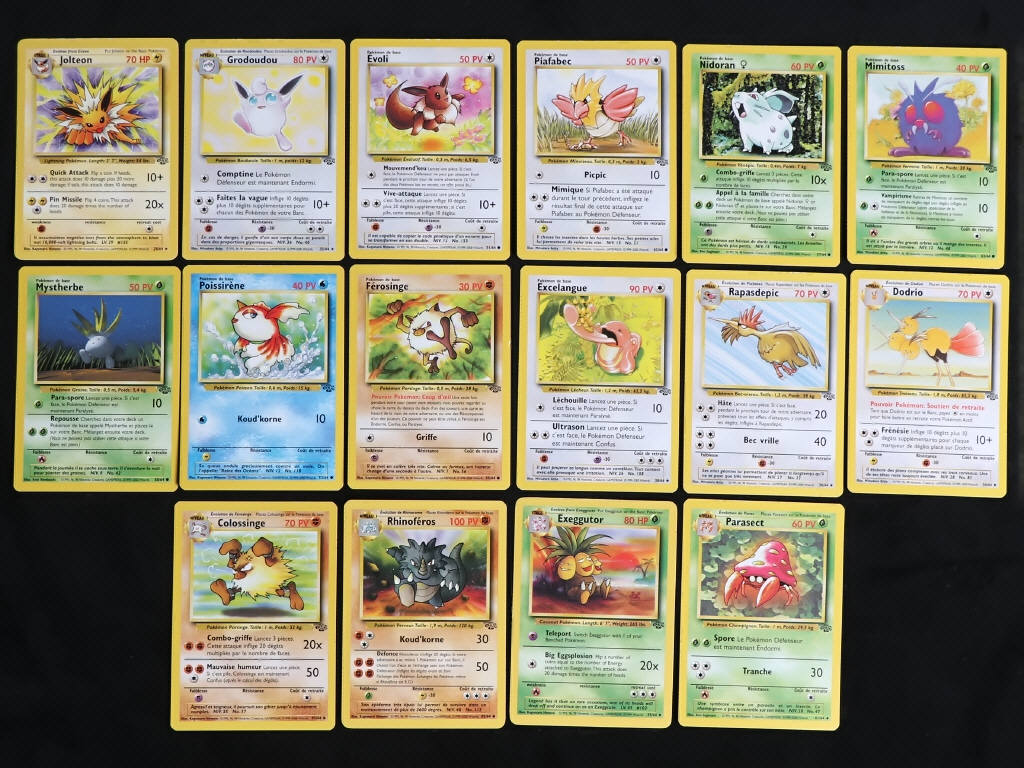 Lot 107 - POKEMON COMPANY (FRANCE) (16)