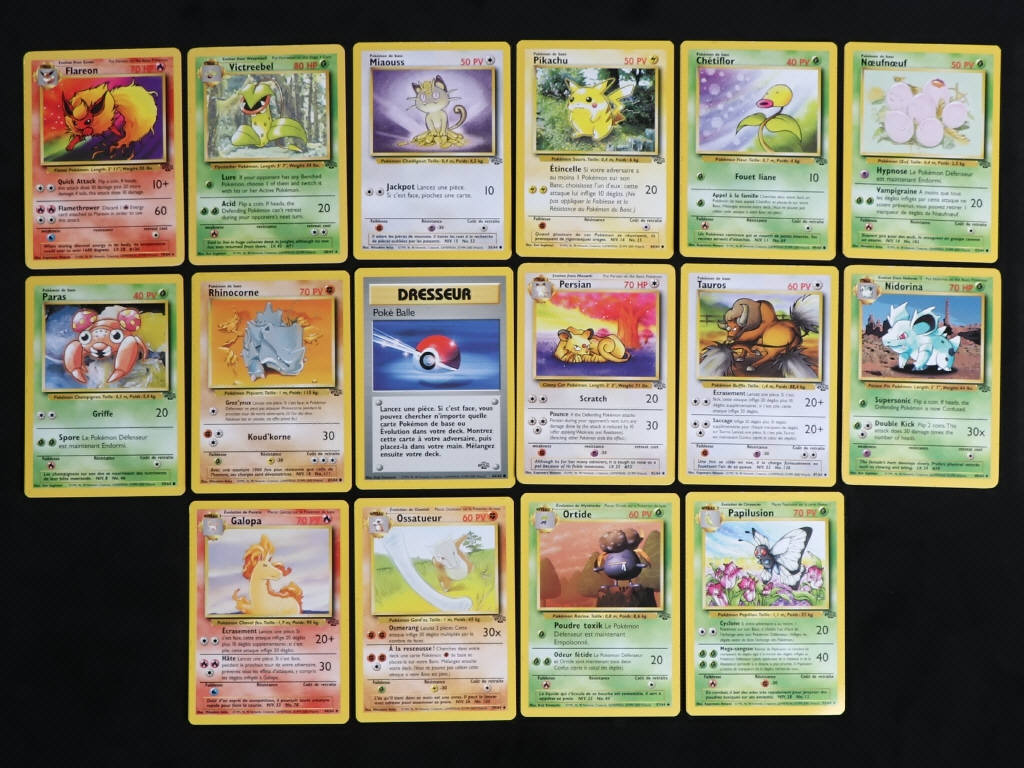 Lot 108 - POKEMON COMPANY (FRANCE) (16)