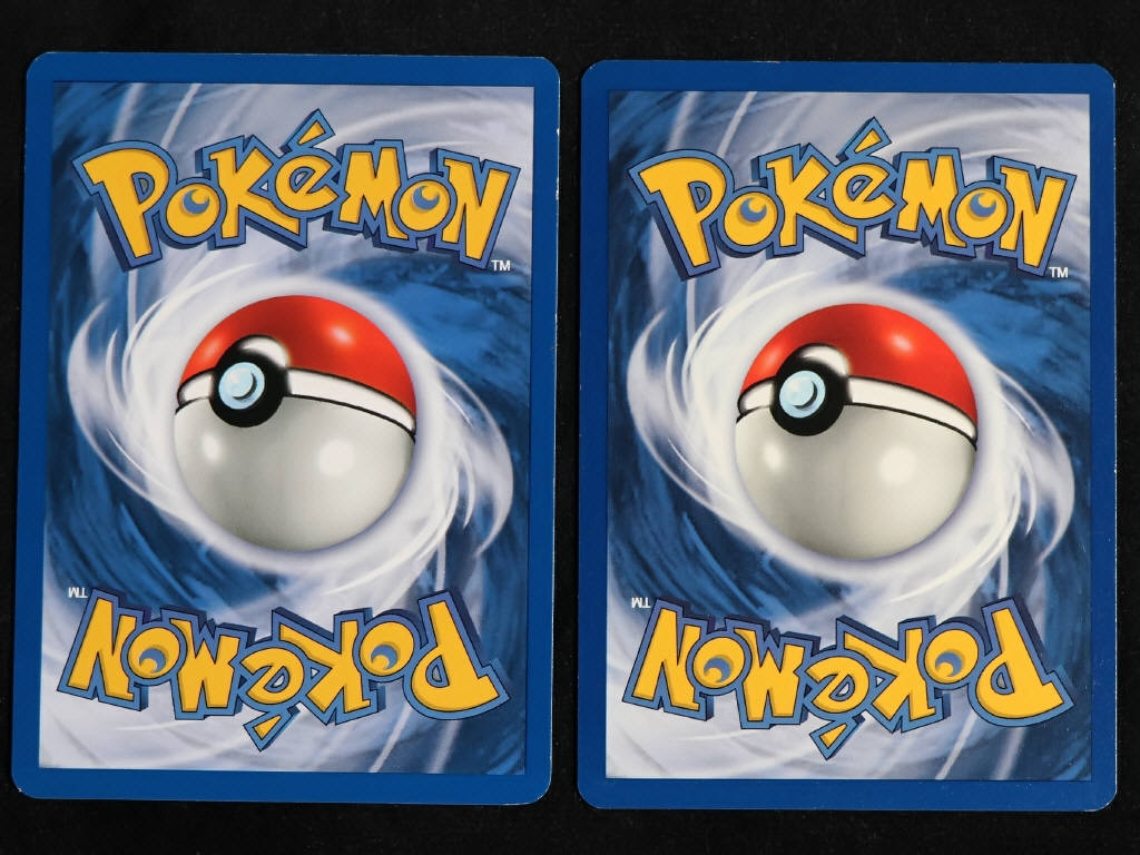 Lot 117 - POKEMON COMPANY (FRANCE) (2)
