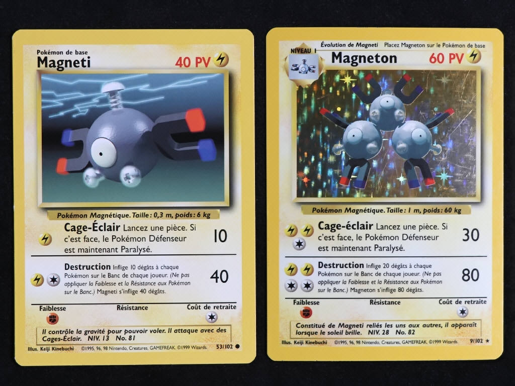 Lot 119 - POKEMON COMPANY (FRANCE) (2)