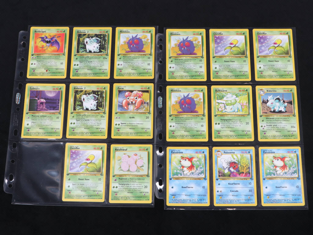 Lot 14 - POKEMON COMPANY (FRANCE) (17)