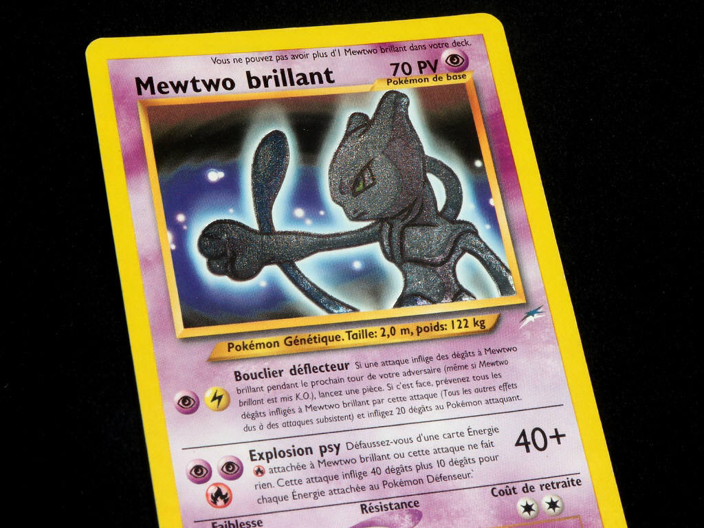 Lot 48 - POKEMON COMPANY (FRANCE) (1)