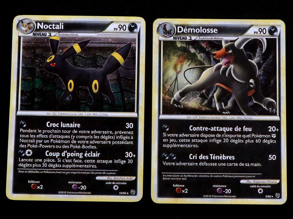 Lot 51 - POKEMON COMPANY (FRANCE) (2)