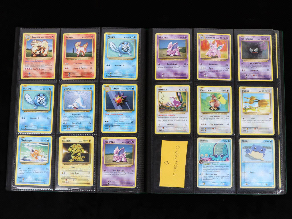 Lot 35 - POKEMON COMPANY (FRANCE) (1)