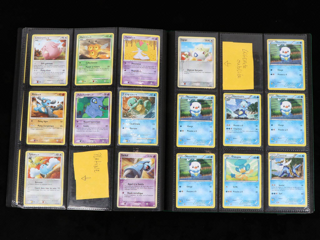 Lot 35 - POKEMON COMPANY (FRANCE) (1)