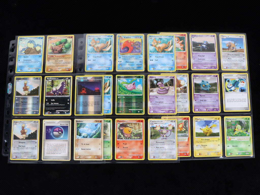 Lot 100 - POKEMON COMPANY (FRANCE) (1)