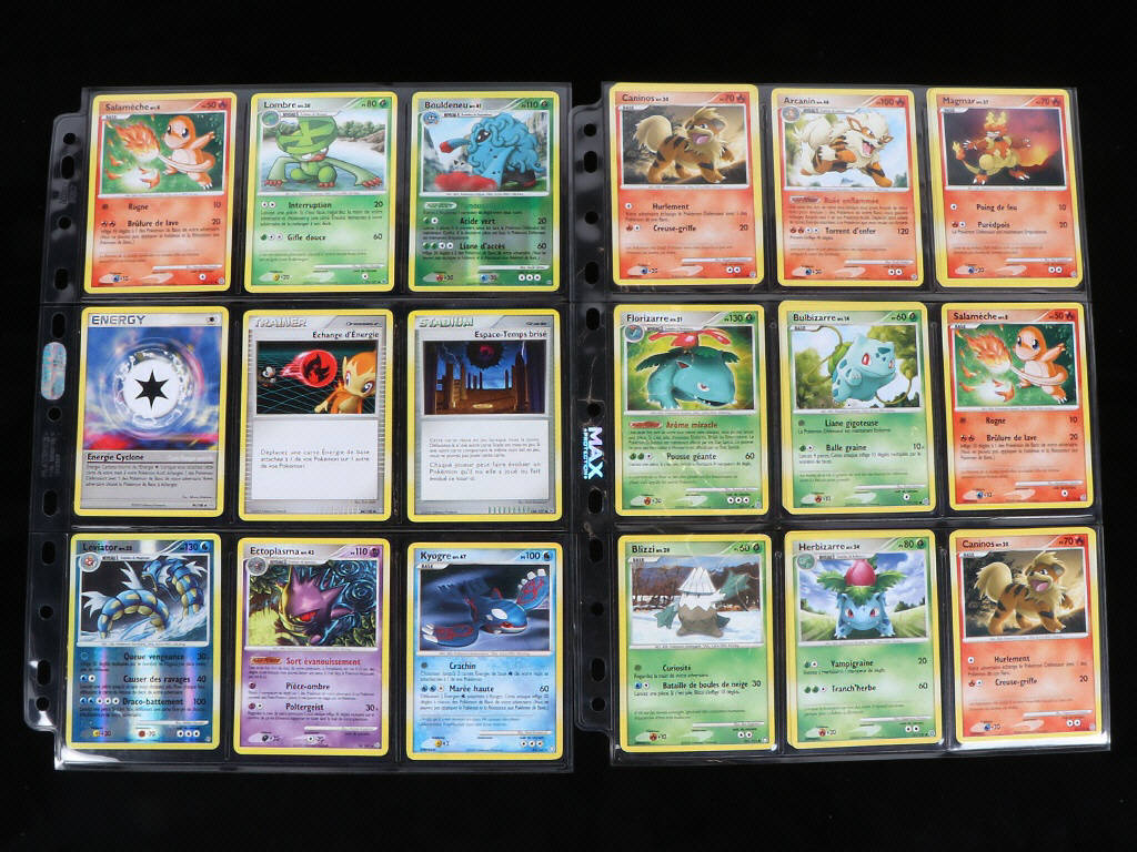 Lot 100 - POKEMON COMPANY (FRANCE) (1)