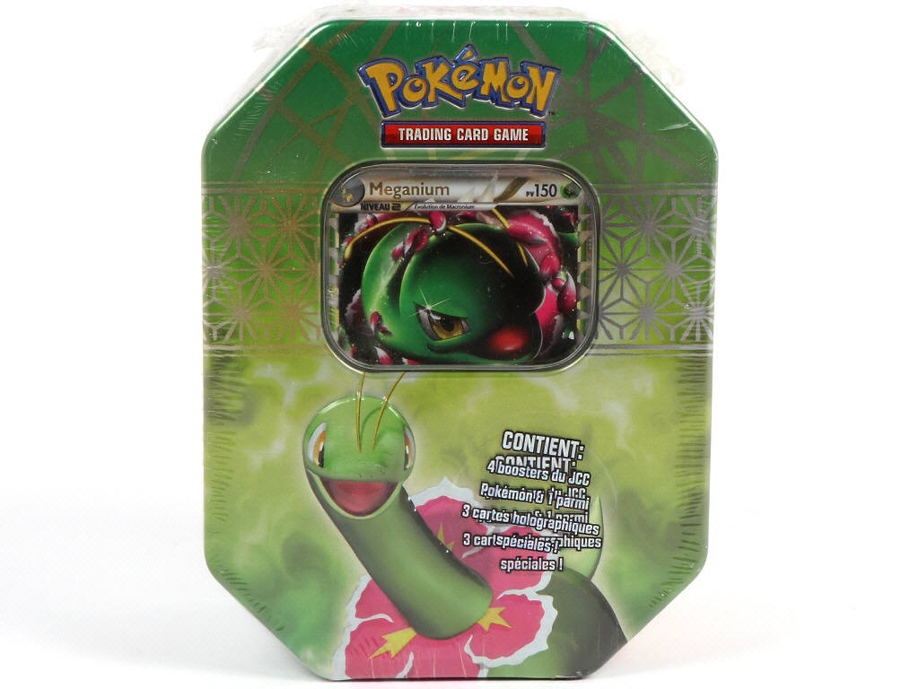Lot 33 - POKEMON COMPANY (FRANCE) (1)