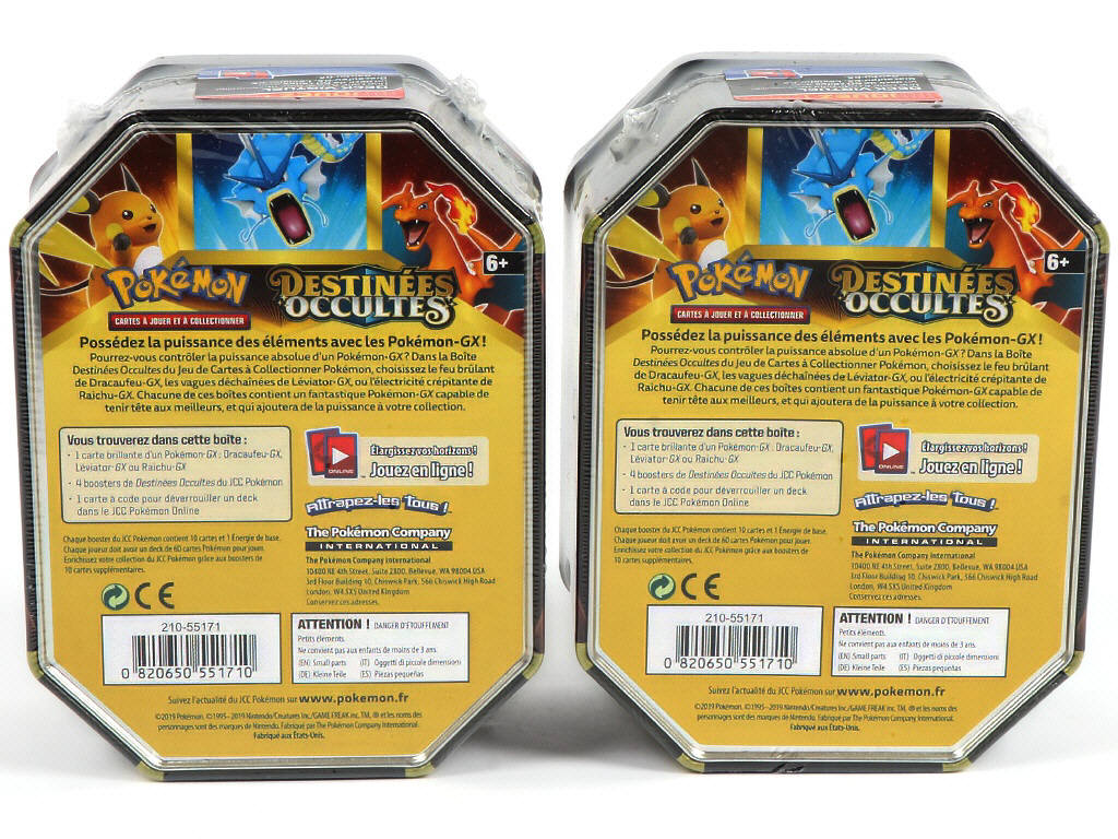 Lot 6 - POKEMON COMPANY (FRANCE) (2)