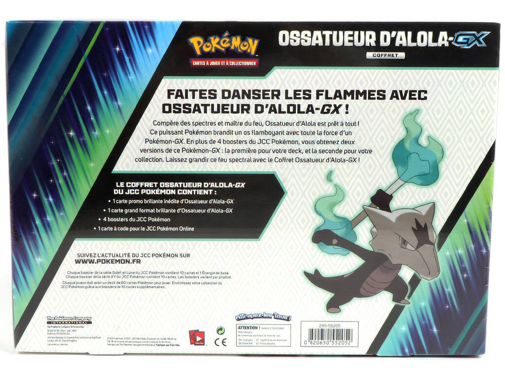 Lot 21 - POKEMON COMPANY (FRANCE) (1)