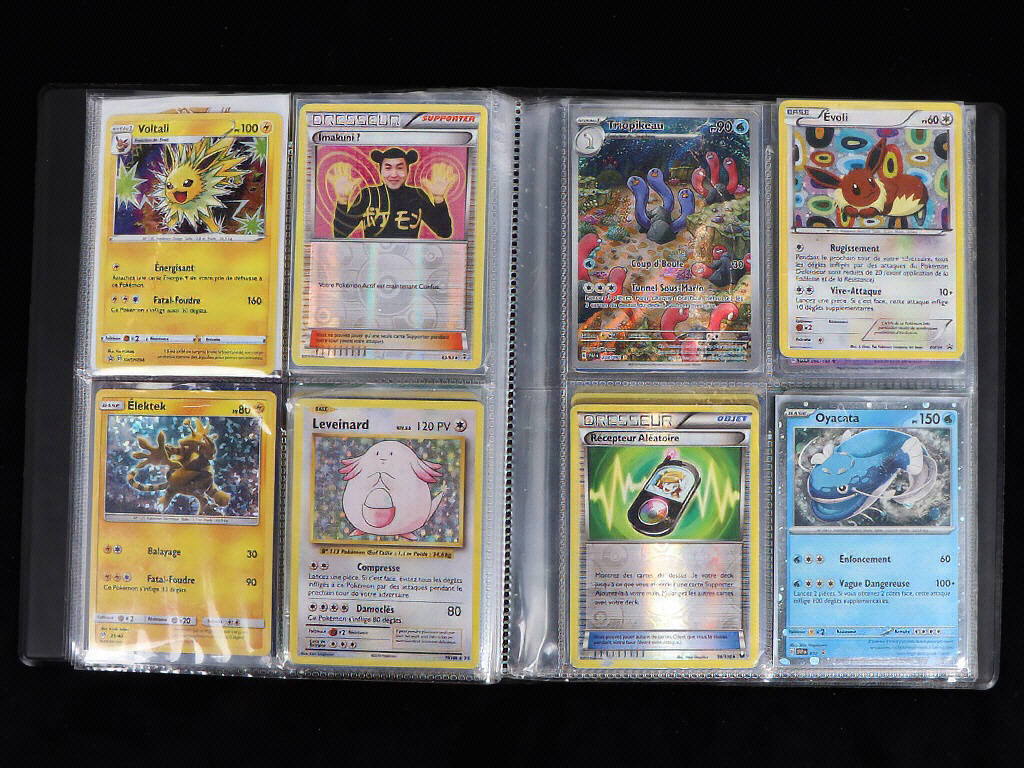 Lot 44 - POKEMON COMPANY (FRANCE) (1)