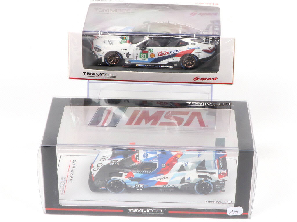 Lot 169 - TSM MODELS (2)