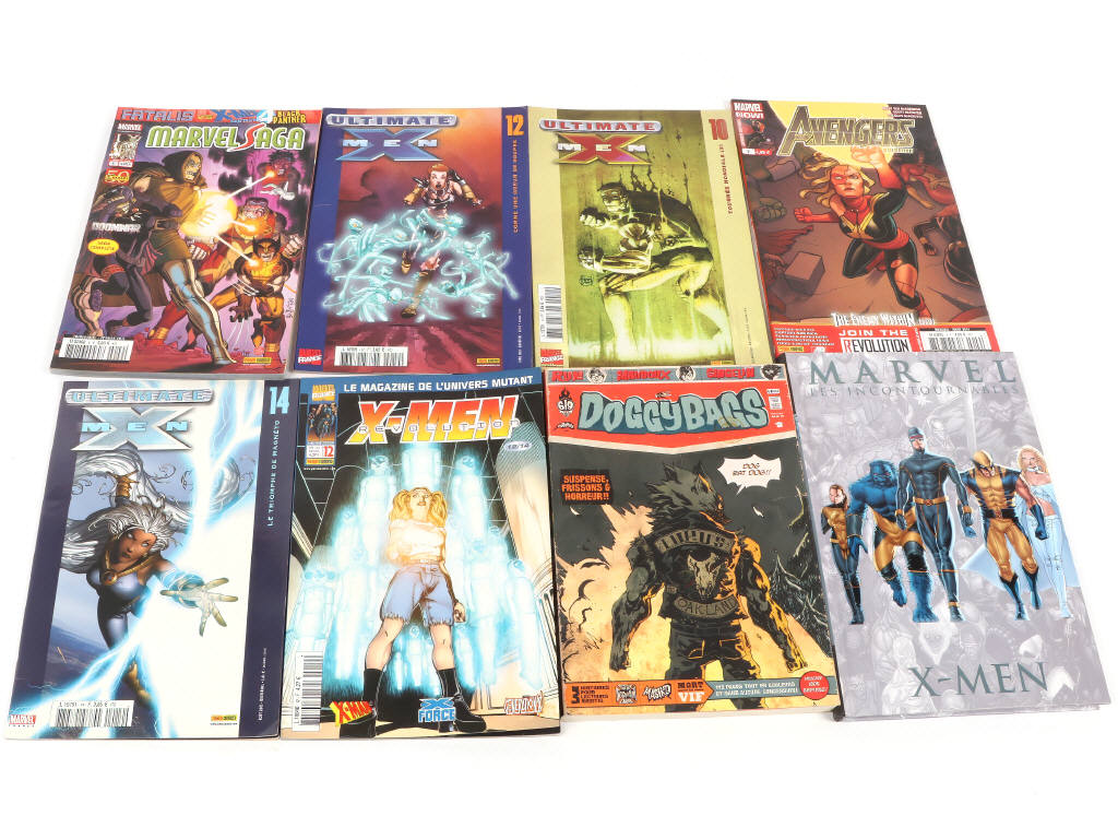 Lot 6 - MARVEL (USA) (37)