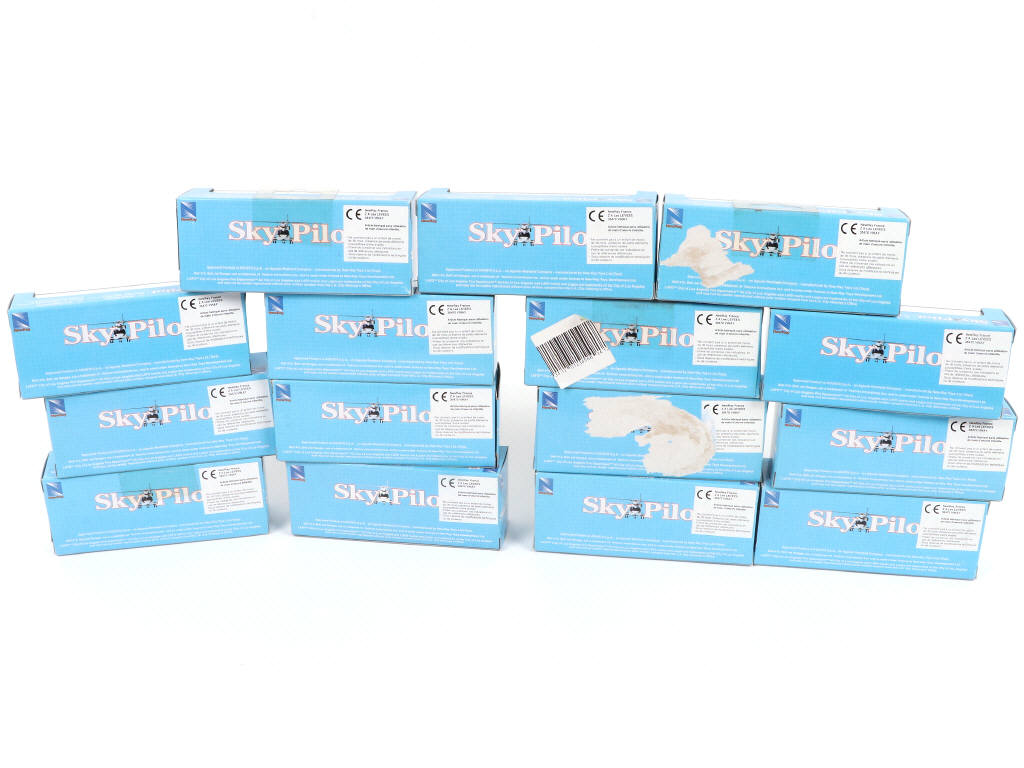 Lot 114 - NEW-RAY (CHINE) (15)