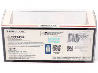 Lot 117 - TSM MODELS (CHINE) (2)