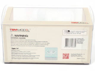 Lot 117 - TSM MODELS (CHINE) (2)