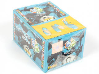 Lot 24 - PANINI (ITALIE) (1)