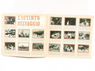 Lot 248 - PANINI (ITALIE) (2)