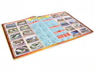 Lot 9 - PANINI (ITALIE) (1)