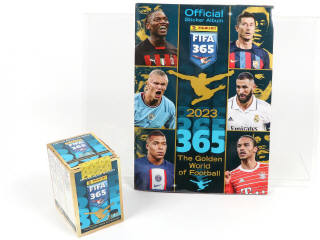 Lot 113 - PANINI (ITALIE) (2)