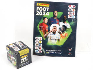 Lot 158 - PANINI (ITALIE) (2)