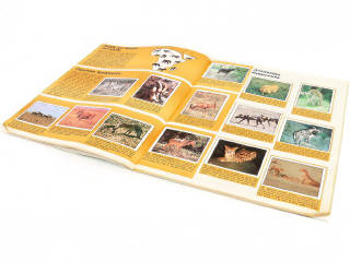 Lot 265 - PANINI (ITALIE) (6)