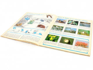 Lot 265 - PANINI (ITALIE) (6)