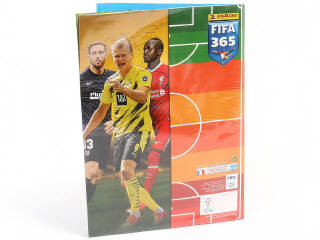 Lot 107 - PANINI (ITALIE) (1)