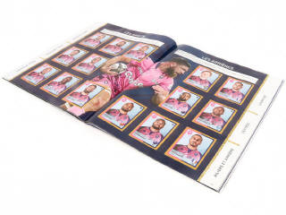 Lot 183 - PANINI (ITALIE) (7)