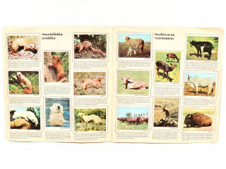 Lot 296 - DIVERS (3)