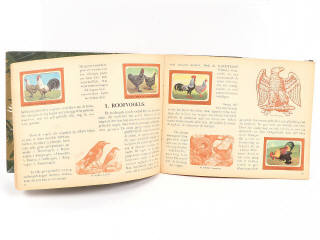 Lot 296 - DIVERS (3)