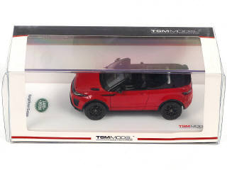 Lot 92 - TSM MODELS (CHINE) (1)