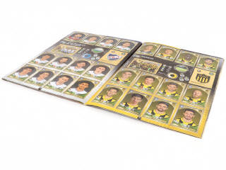 Lot 53 - PANINI (ITALIE) (1)