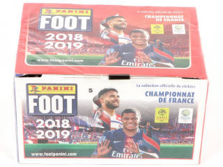 Lot 5 - PANINI (ITALIE) (1)