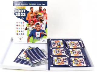 Lot 45 - PANINI (ITALIE) (1)