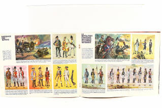 Lot 233 - MAXIFOURMI (ITALIE) (2)