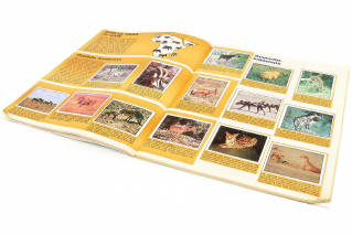 Lot 222 - PANINI (ITALIE) (6)