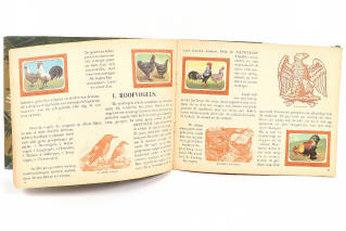 Lot 219 - DIVERS (3)