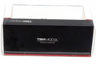 Lot 31 - TSM MODELS (CHINE) (1)