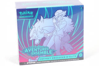 Lot 46 - POKEMON COMPANY (FRANCE) (1)