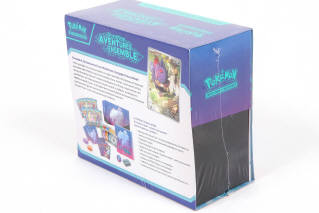Lot 48 - POKEMON COMPANY (FRANCE) (1)