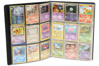 Lot 60 - POKEMON COMPANY (FRANCE) (2)