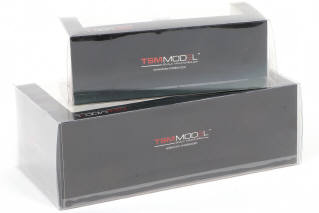 Lot 59 - TSM MODELS (CHINE) (1)