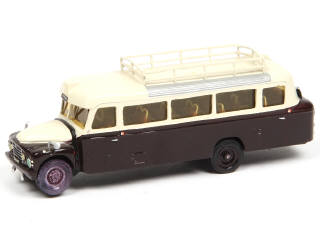 Lot 303 - MINITRUCKS (FRANCE) (1)