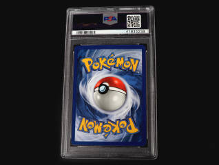 Lot 8 - POKEMON COMPANY (USA) (1)