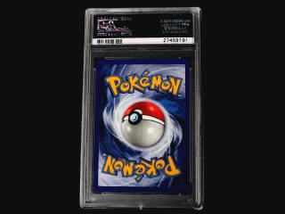 Lot 13 - POKEMON COMPANY (USA) (1)